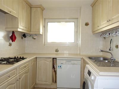 Picture 13